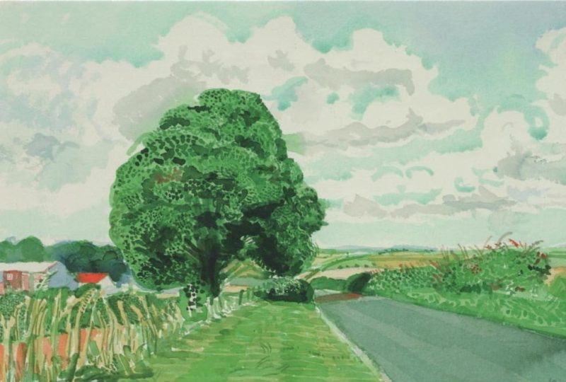 Road and Tree Near Wetwang ( from Midsummer: East Yorkshire) by David Hockney