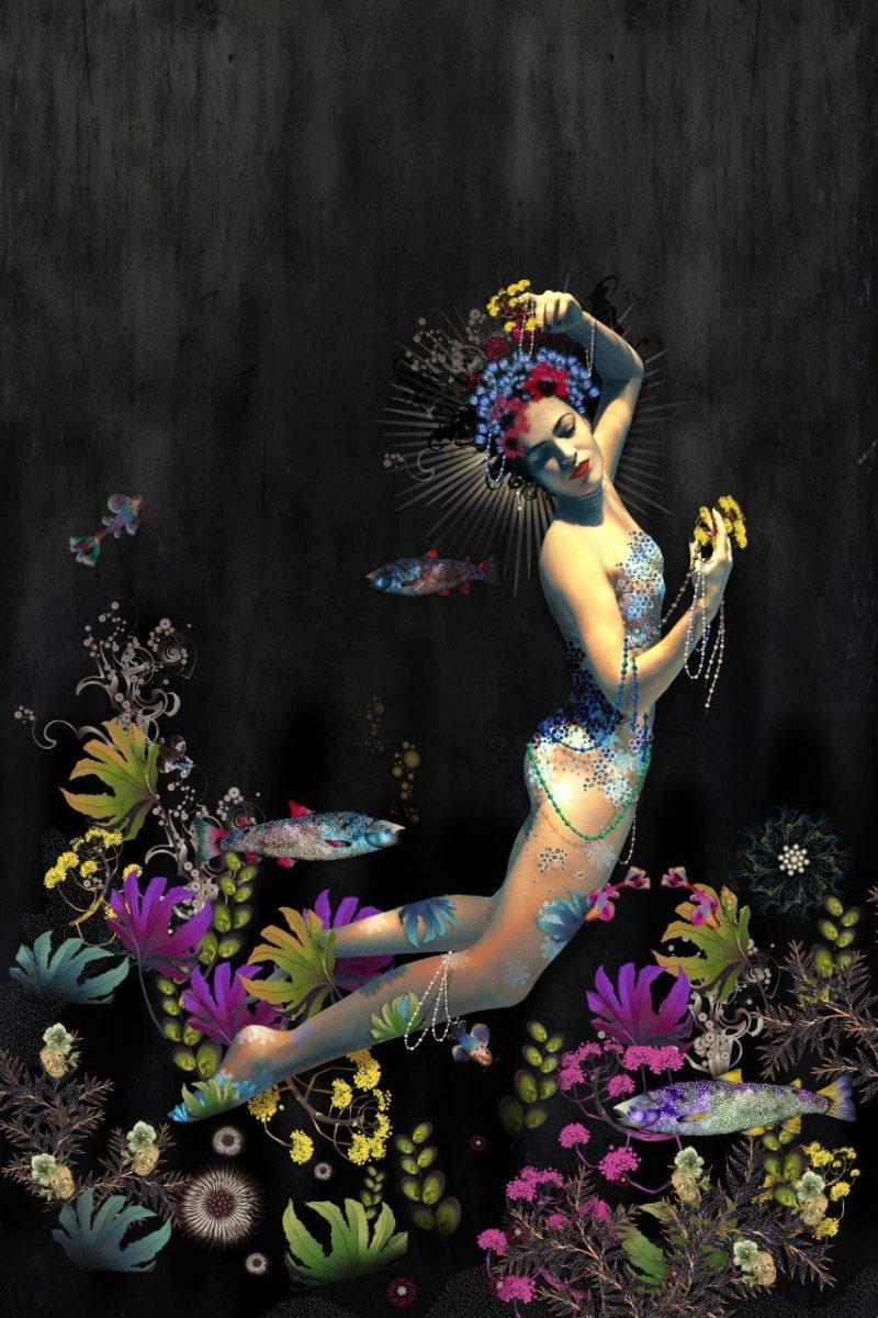 Siren Song By Sarah Arnett