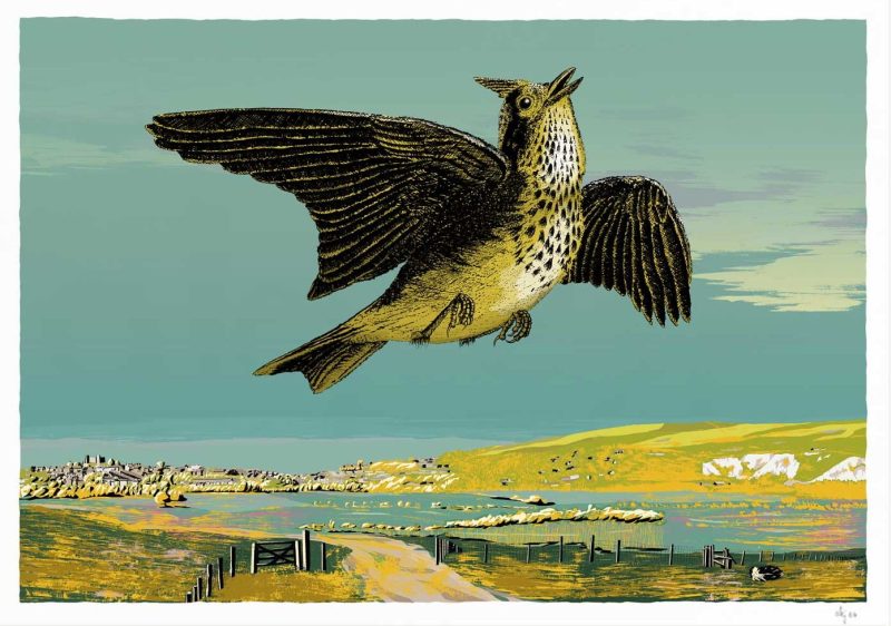 The Lark Ascending over Lewes by Alej ez