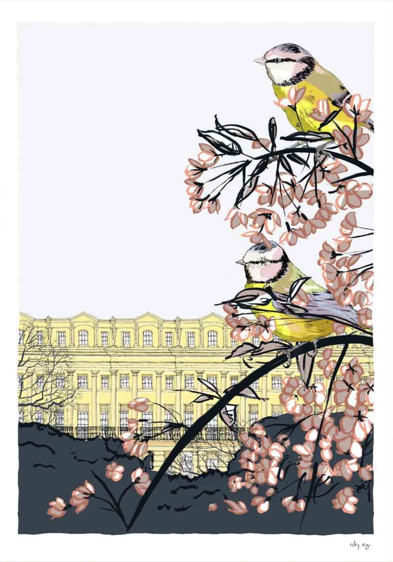 Blue Tits & Cherry Blossom at Brunswick Square Brighton by Alej ez