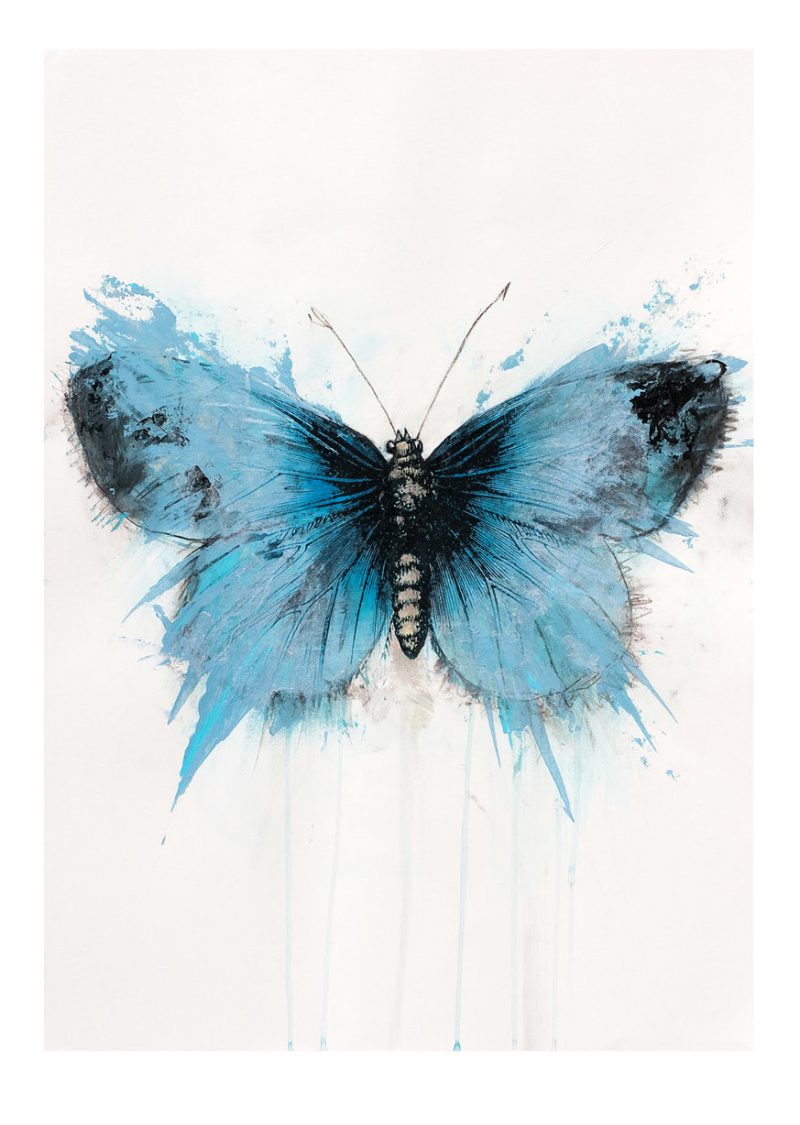 For a day Blue Butterfly By Marion McConaghie