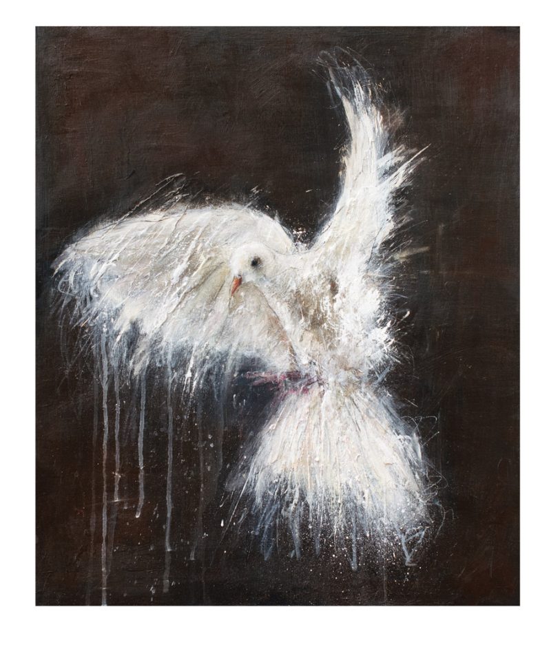 Unbound Dove By Marion McConaghie
