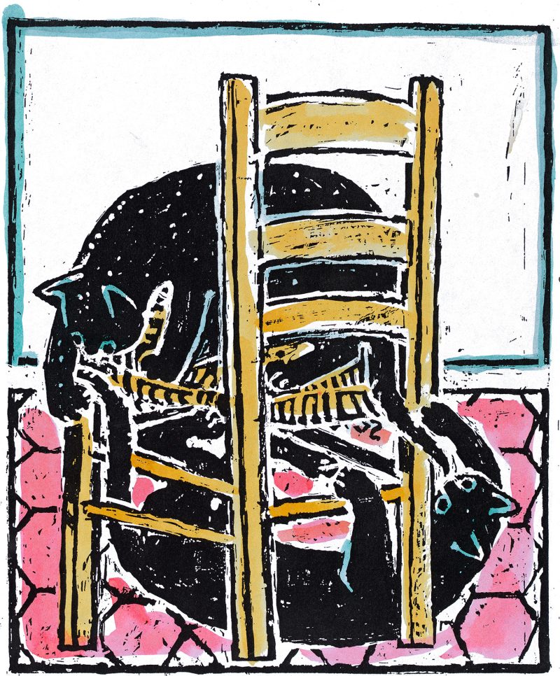 a cat sitting on a chair